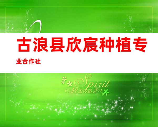 古浪县欣宸种植专业合作社